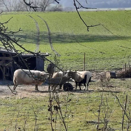 アパート Exklusive Naturoase Direkt Am Ars Natura Wanderweg Mit Panoramablick Auf メルズンゲン